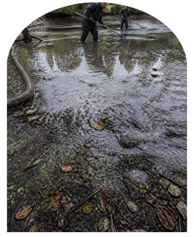 Очистка пруда в Ртищеве от ила мусора и водорослей с вывозом